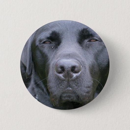 Black Labrador Retriever Dog Round Button (Voorkant)