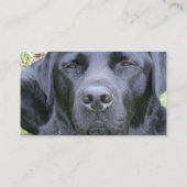 Black Labrador Retriever Dog Visitekaartje (Achterkant)