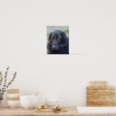 Black Labrador Retriever Expressive Eyes Dog Art Poster (Keuken)