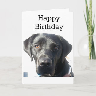 Black Labrador Retriever Happy Birthday Kaart