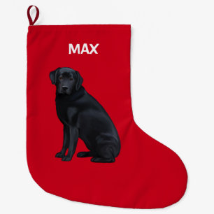 Black Labrador Retriever in portret Grote Kerstsok