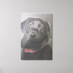"Black Labrador Retriever" - Kooltekening Canvas Afdruk