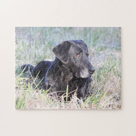 Black Labrador Retriever Legpuzzel (Horizontaal)