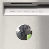 Black Labrador Retriever Magnet rond (In Situ (Lave-vaisselle))