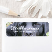 Black Labrador Retriever Mailing Label (Insitu)