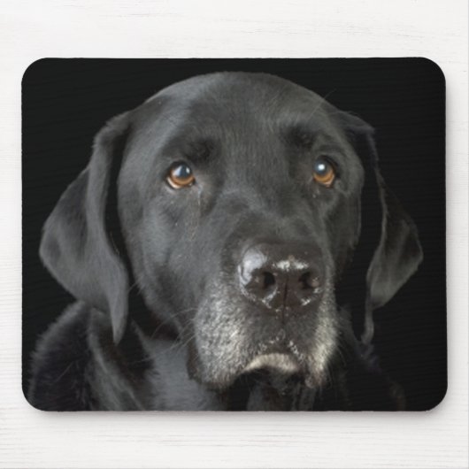 Black Labrador Retriever Mousepad Muismat (Voorkant)