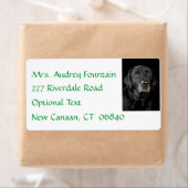 Black Labrador Retriever Naam Adres Label (Insitu)