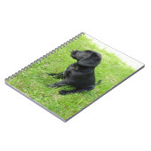 Black Labrador Retriever op gras Notitieboek (Linkerzijde)