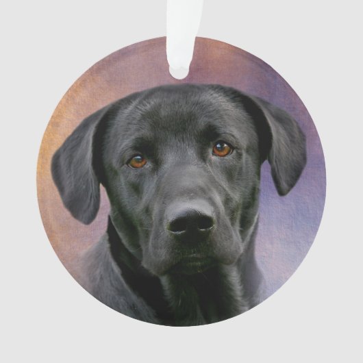 Black Labrador Retriever Ornament (voorkant)