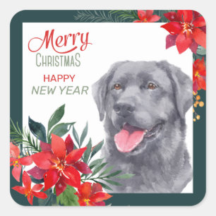 Black Labrador Retriever Poinsettia Bouquet Vierkante Sticker