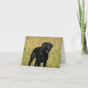 Black Labrador Retriever Puppy Dog Blank Note Card Kaart