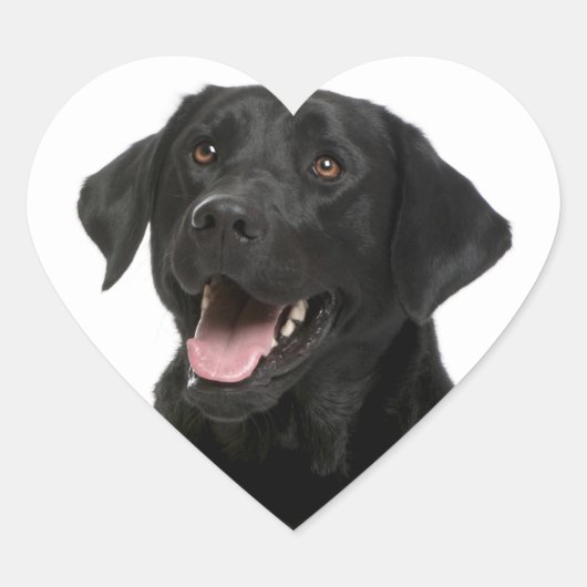 Black Labrador Retriever Puppy Dog Sticker (Voorkant)