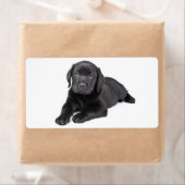 Black Labrador Retriever Puppy Dog Sticker (Insitu)