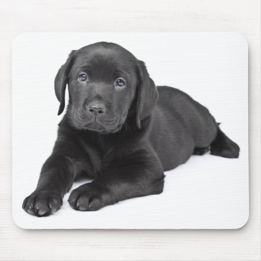 Black Labrador Retriever Puppy Mousepad Muismat (Voorkant)