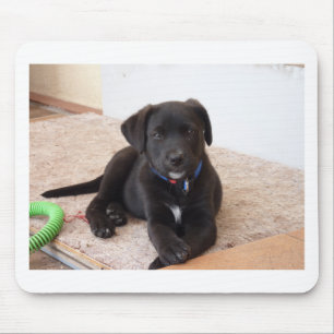 Black Labrador Retriever Puppy Muismat