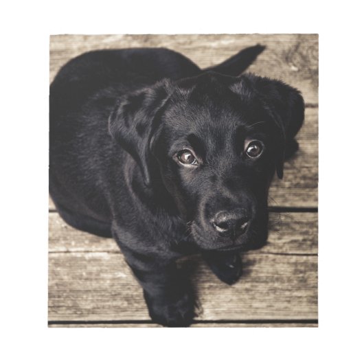 Black Labrador Retriever Puppy op hout Notitieblok (Voorkant)