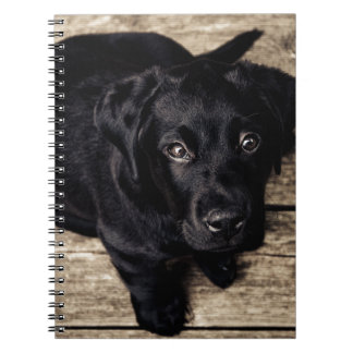 Black Labrador Retriever Puppy op hout Notitieboek