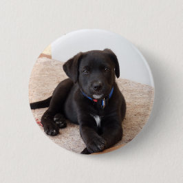 Black Labrador Retriever Puppy Ronde Button 5,7 Cm