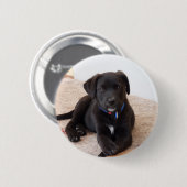 Black Labrador Retriever Puppy Ronde Button 5,7 Cm (Voorkant /achterkant)