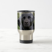 Black Labrador Retriever Reisbeker (Center)