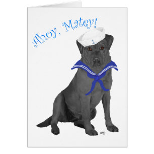 Black Labrador Retriever Sailor