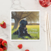 Black Labrador Retriever Servet (Insitu)