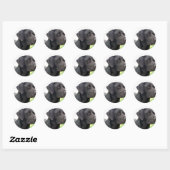 Black Labrador Retriever Sticker (Vel)
