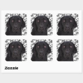 Black Labrador Retriever Vierkante Sticker (Vel)
