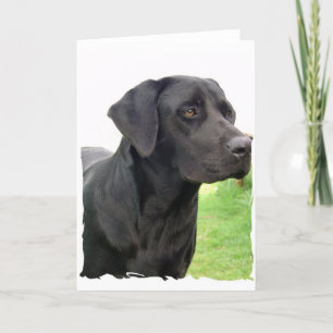 Black Labrador Retriever Wenskaart Kaart