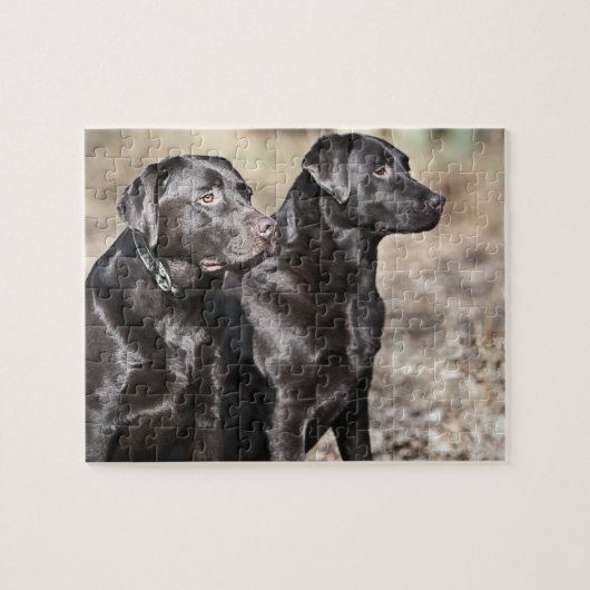 Black Labrador Retrievers Legpuzzel (Horizontaal)