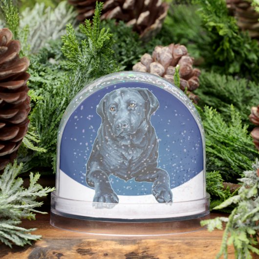 Black Labrador Snow Globe Custom Dog Snow Globe Sneeuwbol (Winter)