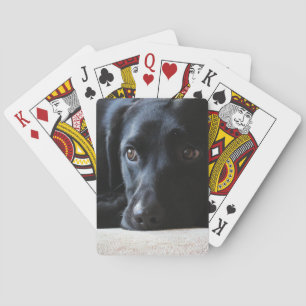 Black Labrador Speelkaarten