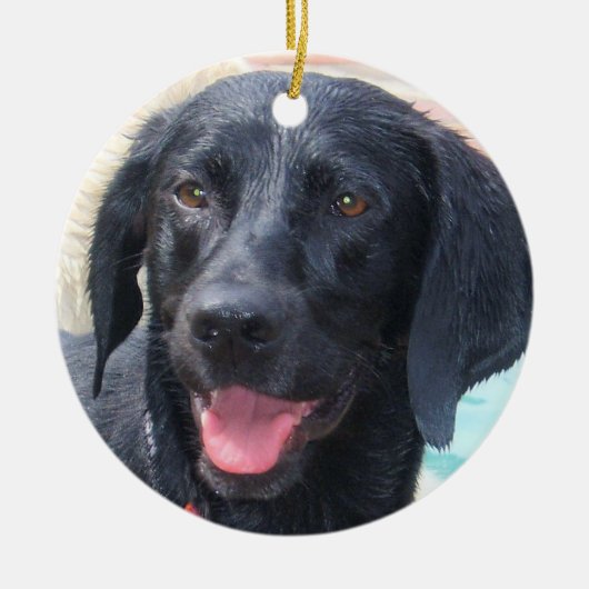 Black Labrador-versiering Keramisch Ornament (Voorkant)
