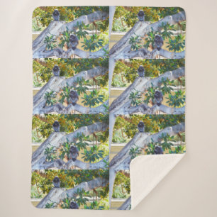 Black Langur Monkeys Eating, Lge Sherpa Blanket Sherpa Deken