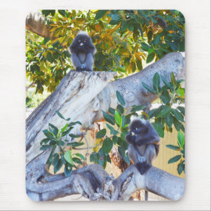 Black Langur Monkeys Eating, Mousepad Muismat