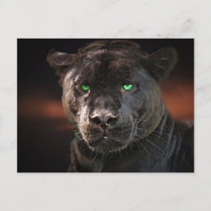 Black Leopard Big Cat Briefkaart