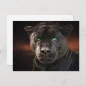 Black Leopard Big Cat Briefkaart (Voorkant / Achterkant)