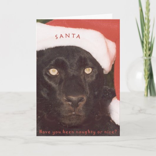 Black Leopard Santa Feestdagen Kaart (Voorkant)