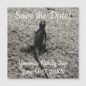 Black Lizard (Voorkant)