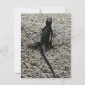 Black Lizard (Voorkant)