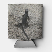Black Lizard Blikjeskoeler (Voorkant)