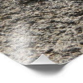 Black Lizard Foto Afdruk (Hoek)