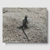 Black Lizard Gastenboek (Voorkant)