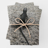 Black Lizard Inpakpapier Vel (In situ)