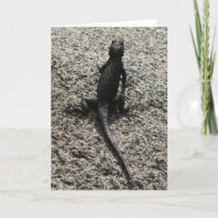 Black Lizard Kaart