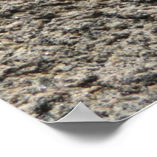 Black Lizard Poster (Hoek)