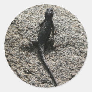 Black Lizard Ronde Sticker