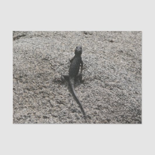 Black Lizard Tissuepapier (Voorkant)