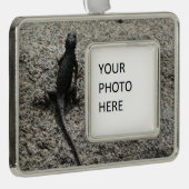 Black Lizard Verzilverd Kader Ornament (Rechts)