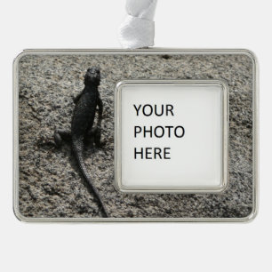 Black Lizard Verzilverd Kader Ornament